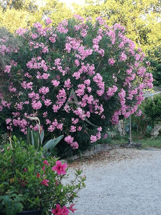  Maison  vendre 6 pices 275 m