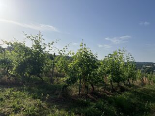  Terrain � vendre 1 pi�ce 1 m�