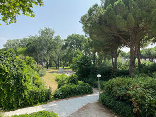  Appartement � louer 1 pi�ce 24 m�