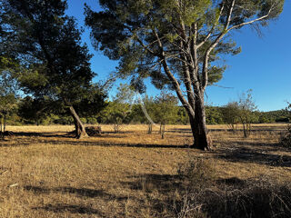  Terrain � vendre 4795 m�