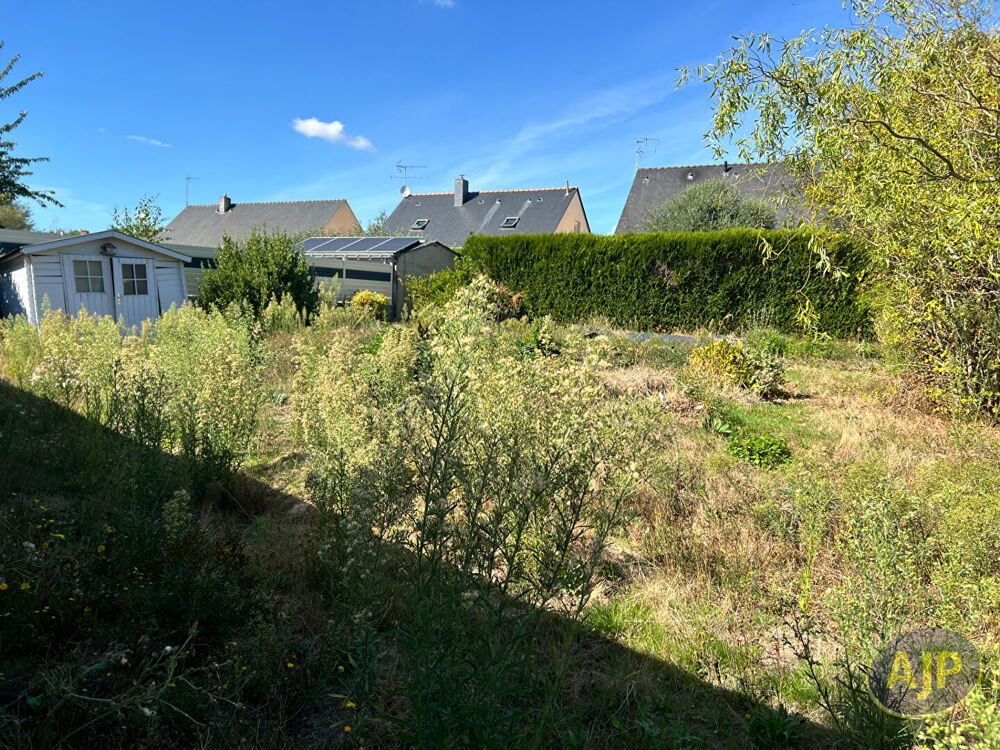 Vente Terrain SAINTE GEMMES D'ANDIGNÉ Sainte gemmes d andigne