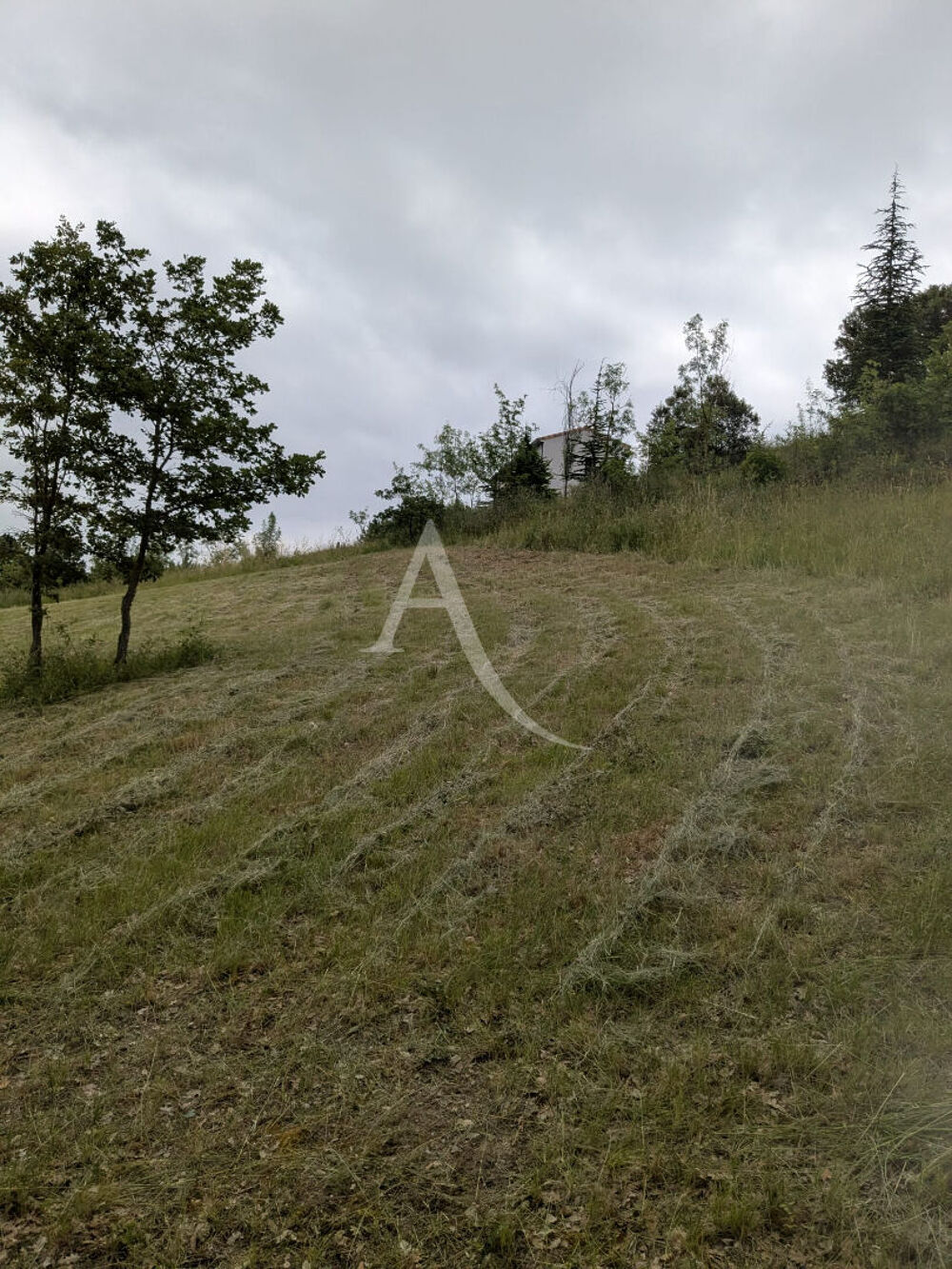 Vente Terrain Terrain Limoux 9305 m2 Limoux