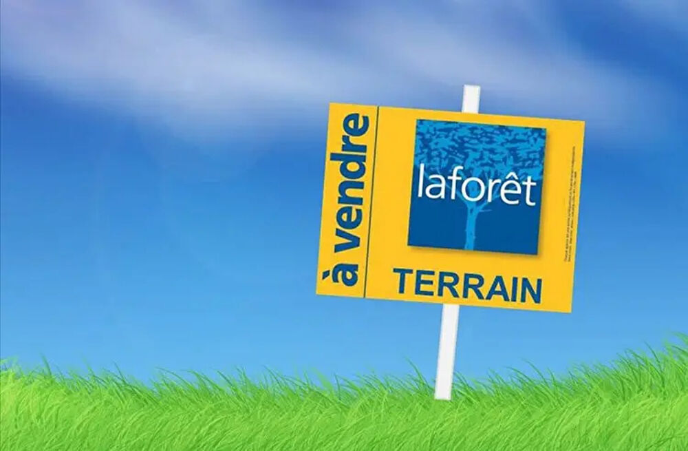 Vente Terrain Terrain 3 hectares  lotir Falaise