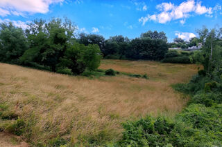  Terrain à vendre 10455 m²