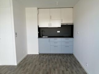  Appartement à louer 2 pièces 38 m²