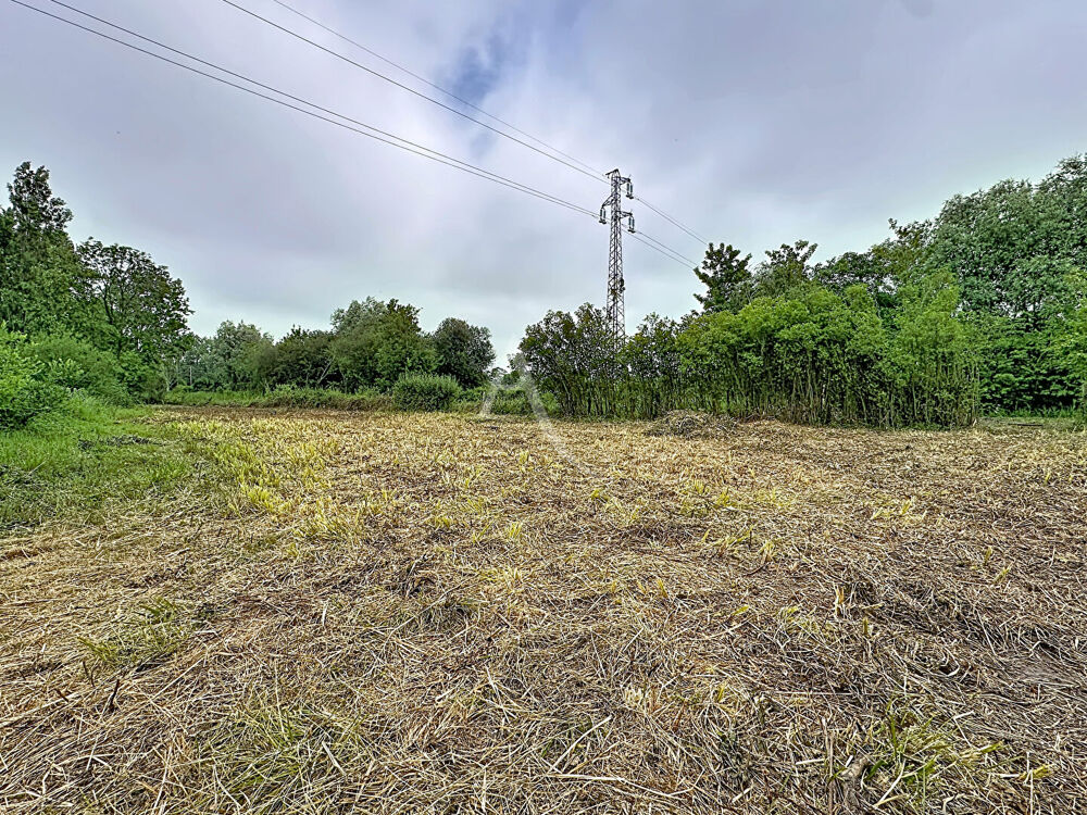 Vente Terrain Terrain à batir Coulogne