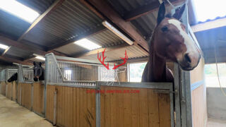  Maison � vendre 5 pi�ces 155 m�