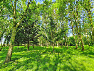  Terrain à vendre 6105 m²