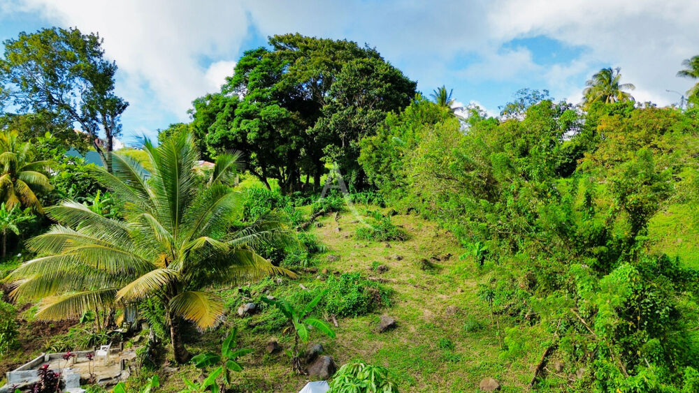 Vente Terrain Terrain de 864 m2 en pente à Sainte-Luce (non viabilisé) Sainte luce