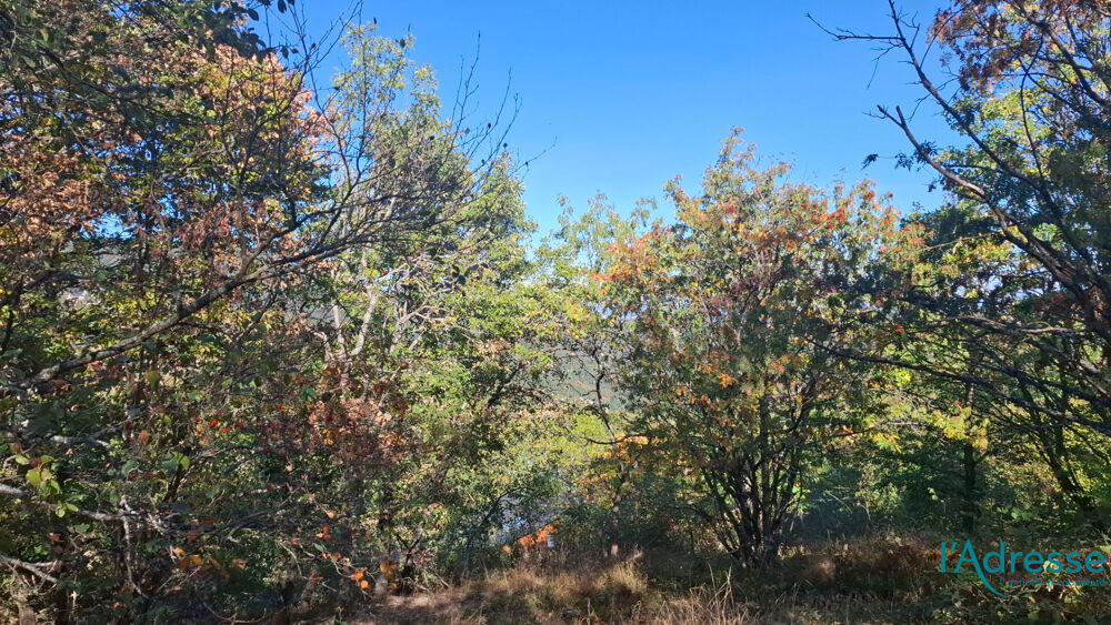 Vente Terrain Terrain Labaroche 2366 m2 Labaroche