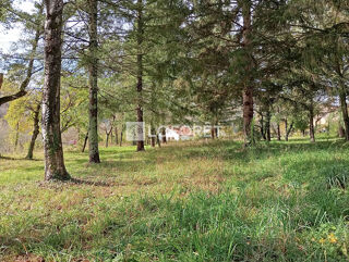  Terrain à vendre 21568 m²