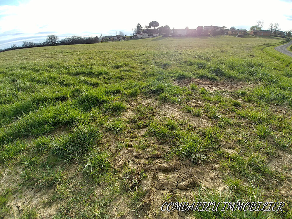 Vente Terrain RARE Terrain Caussade 1ha 3311 m2 Caussade