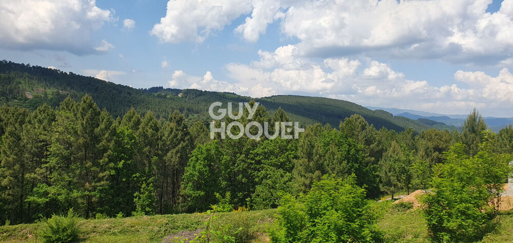 Vente Terrain Magnifique parcelle constructible sur Mercuer Mercuer