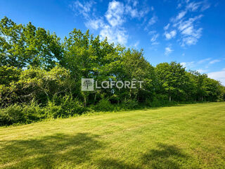  Terrain à vendre 45574 m²