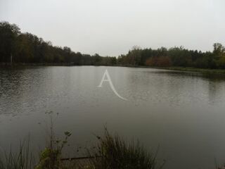  Terrain  vendre 66000 m