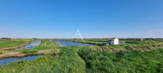  Terrain � vendre 21385 m�