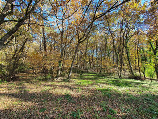  Terrain à vendre 14982 m²