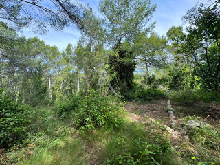  Terrain � vendre 5881 m�