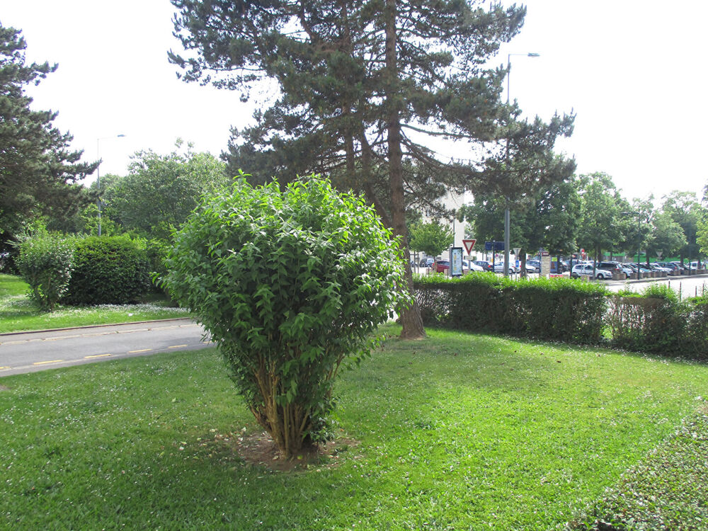 Location Appartement CAEN : appartement F1 (31 m²) en location - 32 rue Horatio Smith - 3e étage Caen