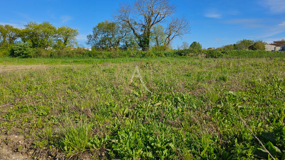 Vente Terrain TERRAIN A BATIR  A LOIRE LES MARAIS Loire les marais