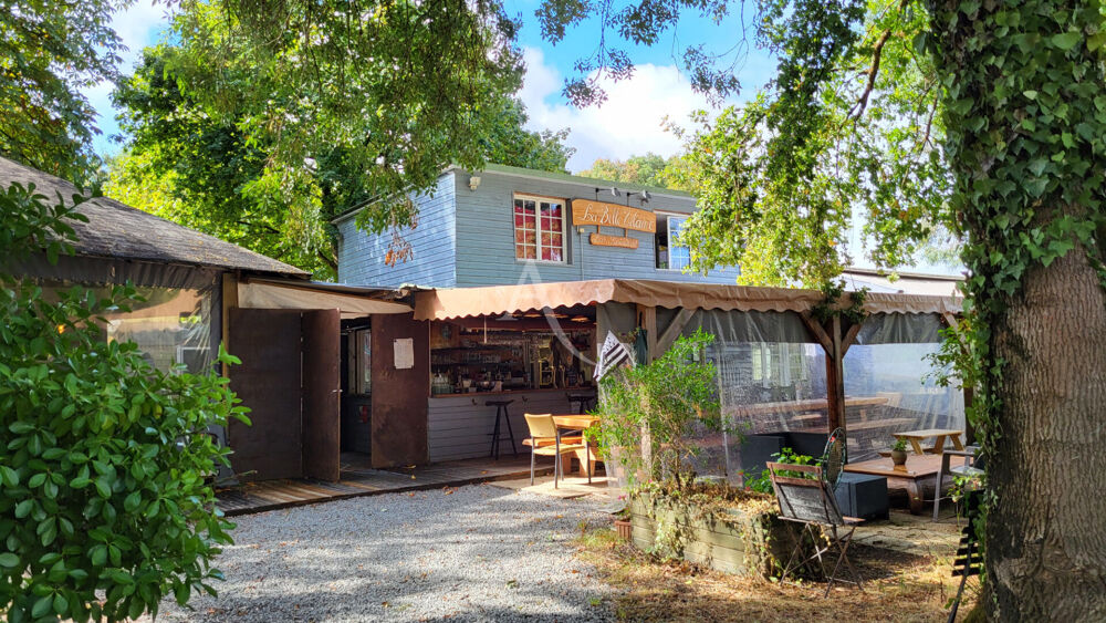   Restaurant, Murs et Fonds de Commerce, Ste Anne Sur Vilaine 