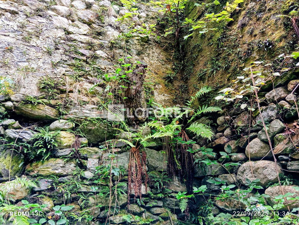 Vente Terrain Terrain et Ruine/279m² - La Preste Prats de mollo la preste
