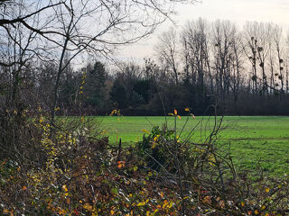  Terrain � vendre 8838 m�