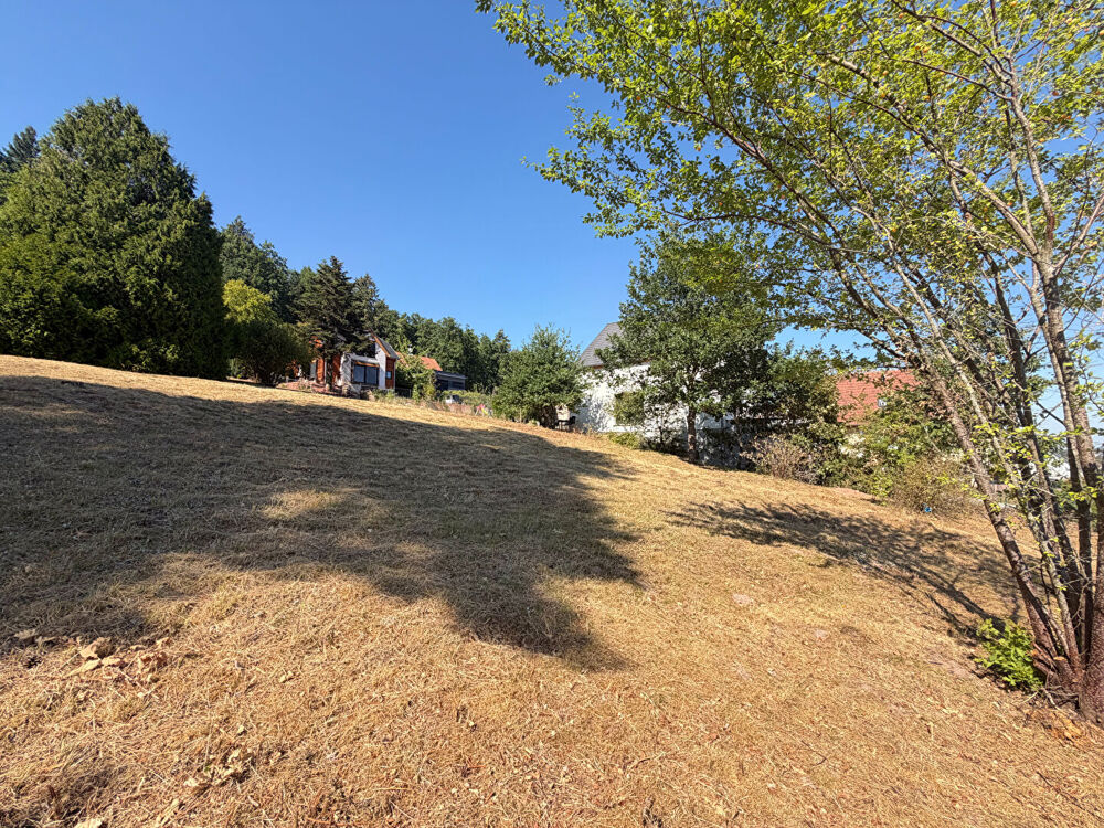 Vente Terrain Terrain constructible OBERHASLACH 7 ares 35 Oberhaslach