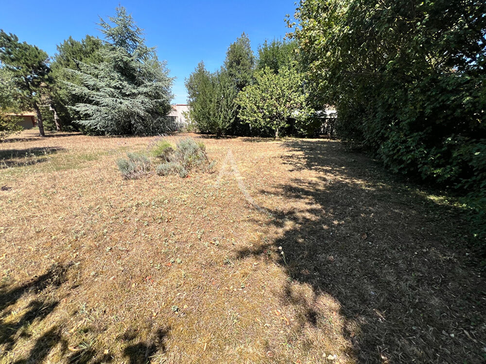 Vente Terrain Terrain Longeville Sur Mer 555 m2 Longeville sur mer