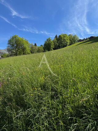  Terrain � vendre 4000 m�