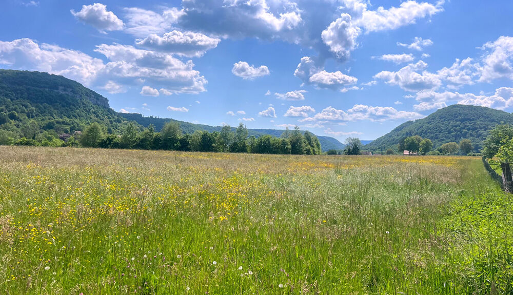 Vente Terrain Terrain plat 1301 m2 constructible au calme Ornans