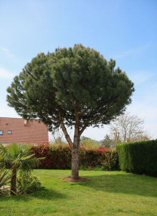  Maison à vendre 7 pièces 170 m²
