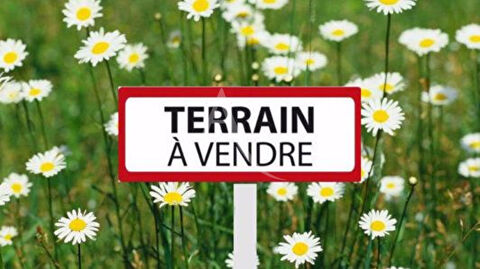 Terrain 40000 Saint-Vitre (41210)