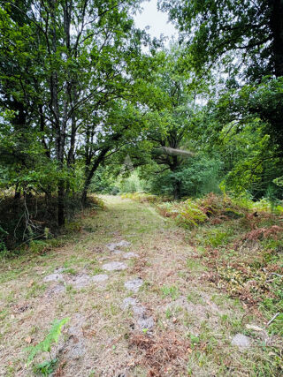  Terrain � vendre 65566 m�