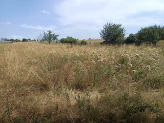  Terrain à vendre 2346 m²