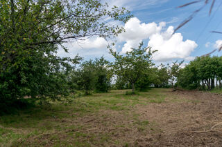  Terrain  vendre 6000 m