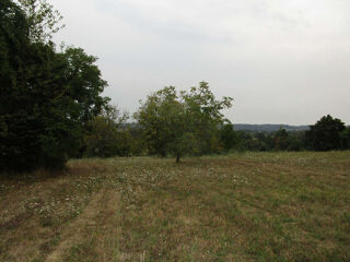  Terrain à vendre 2482 m²