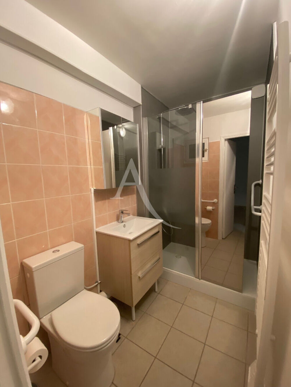 Appartement Chateauneuf Sur Loire 3 pièce(s) 53 m2