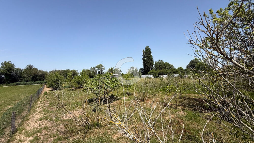 Vente Terrain TERRAIN CONSTRUCTIBLE - 1437 m² - A VENDRE - LES CONCHES - LONGEVILLE SUR MER Longeville sur mer