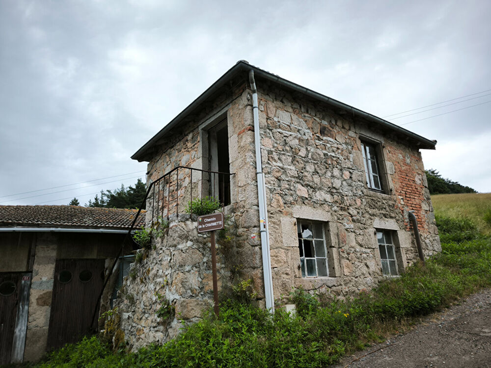 Vente Maison Maison ancienne Ambierle