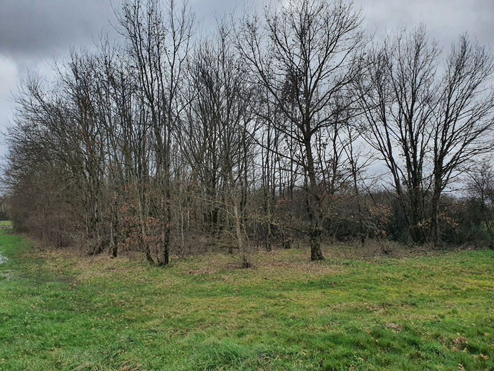 Vente Terrain Villemur-sur-Tarn, terrain agricole Villemur sur tarn
