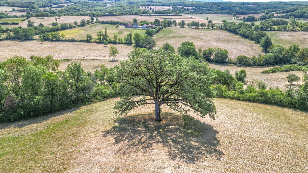 à vendre  Villa Parisot (82160)