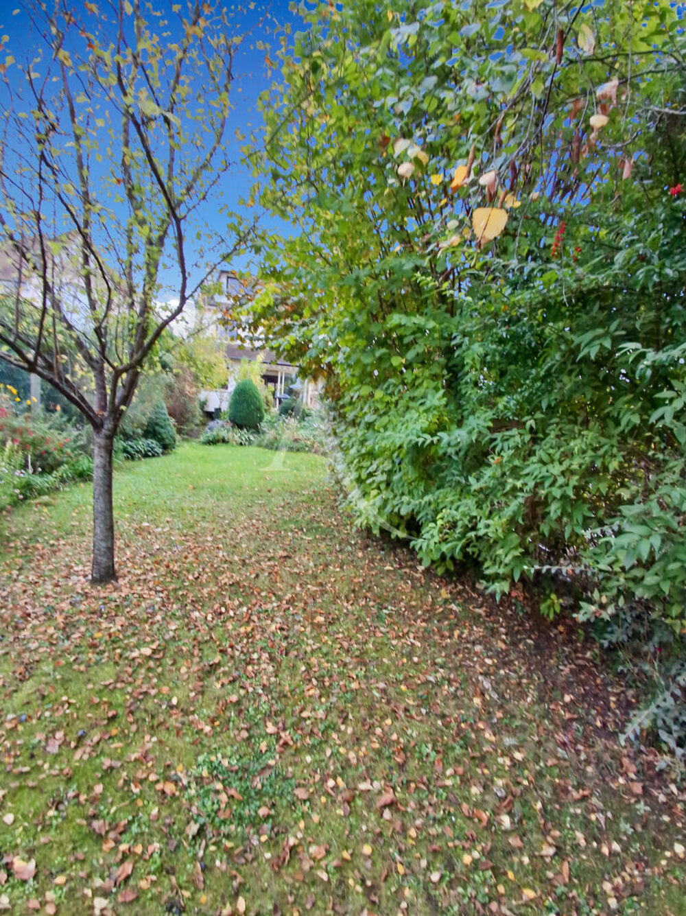 � vendre  Maison Rueil-Malmaison (92500)