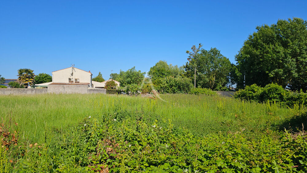 Vente Terrain Terrain constructible de 1499 m2 à Saint-Froult Saint froult