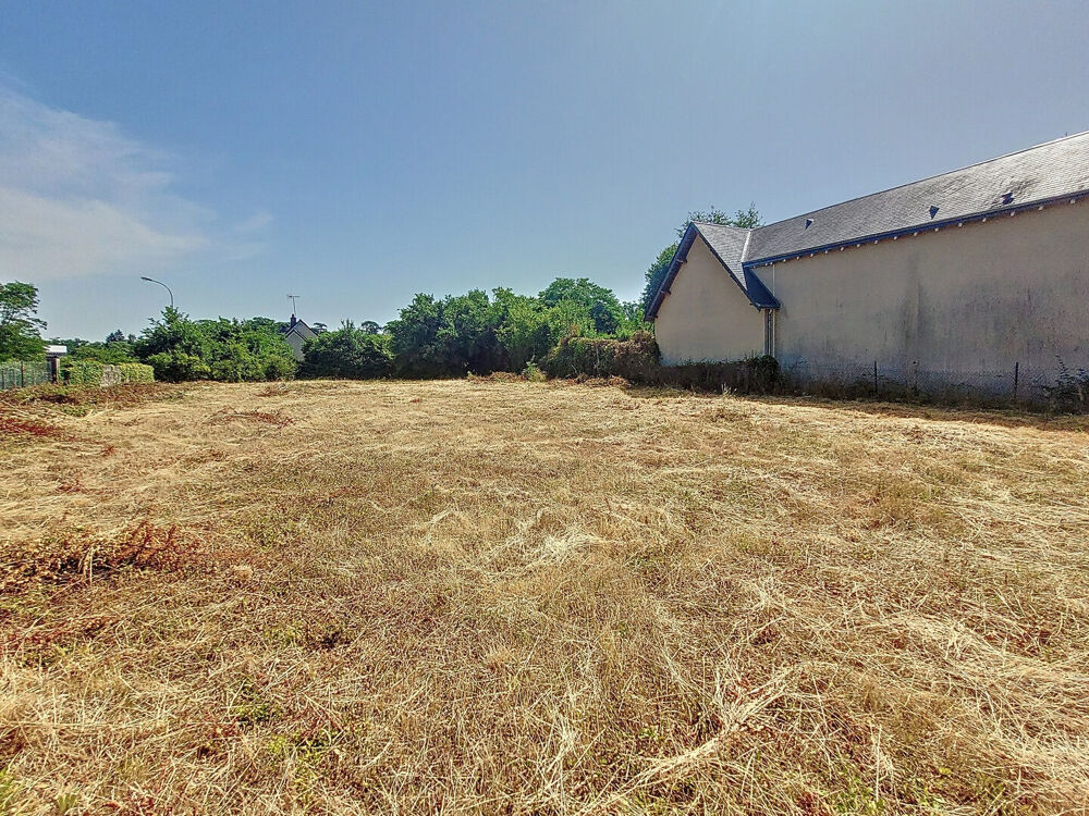 Vente Terrain Un �crin de nature � Saint-Avertin : superbe terrain � b�tir � saisir Saint avertin
