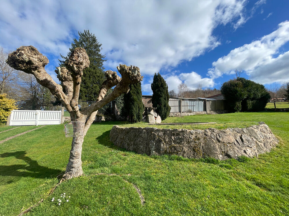 Vente Maison Maison rurale en pierres de 6 pièces à Marmagne de 100 m2 Marmagne