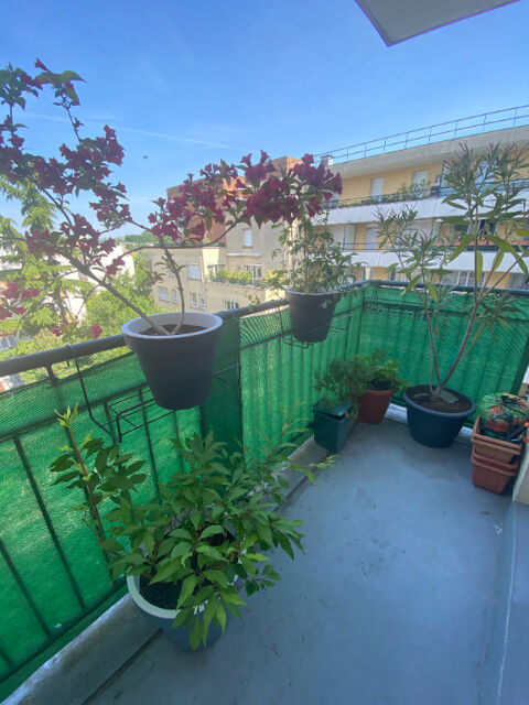  Appartement � louer 2 pi�ces 42 m�