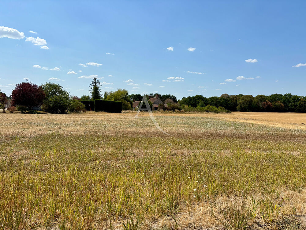 Vente Terrain Terrain Chemery  3410 m² Chemery