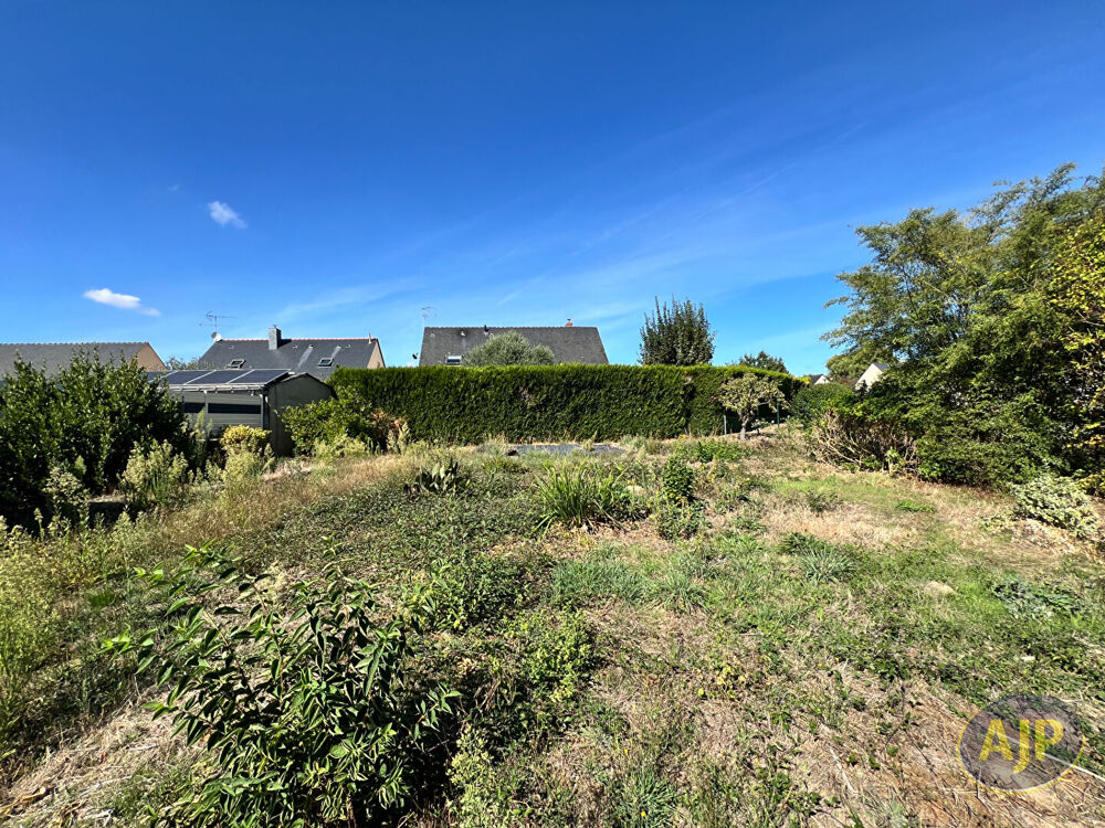 Vente Terrain SAINTE GEMMES D'ANDIGNÉ Sainte gemmes d andigne