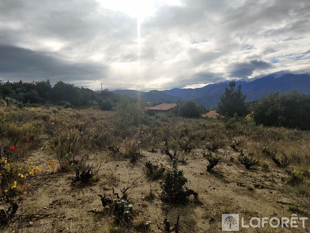 Vente Terrain Terrain Arboussols 4000 m2 Arboussols